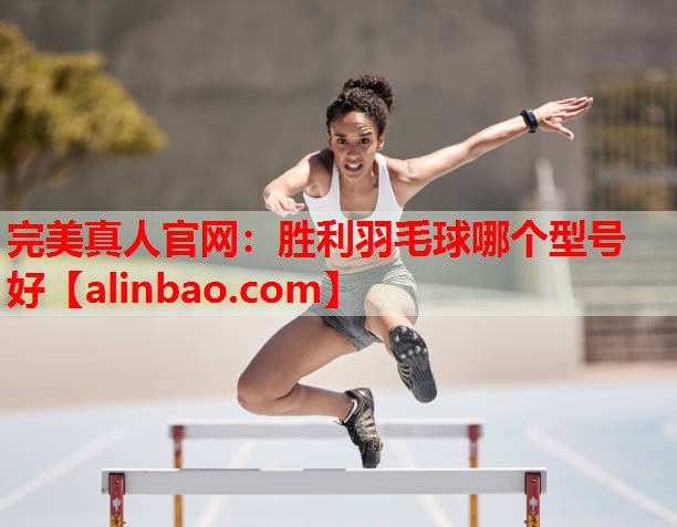胜利羽毛球哪个型号好 胜利羽毛球哪个型号好